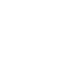 Only burn seasoned wood on your wood burner and approve solid fuel in your multifuel appliance